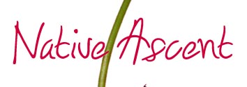 Native ascent logo